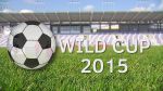 Losowano turniej Wild Cup 2015 
